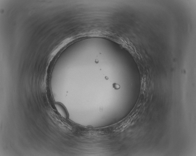 X0000083010292200702161558