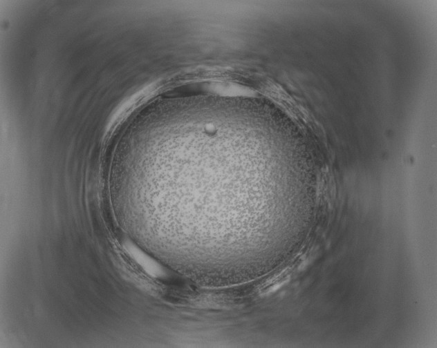 X0000083010293200702161558