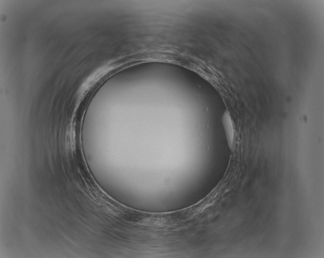 X0000083010294200702161558