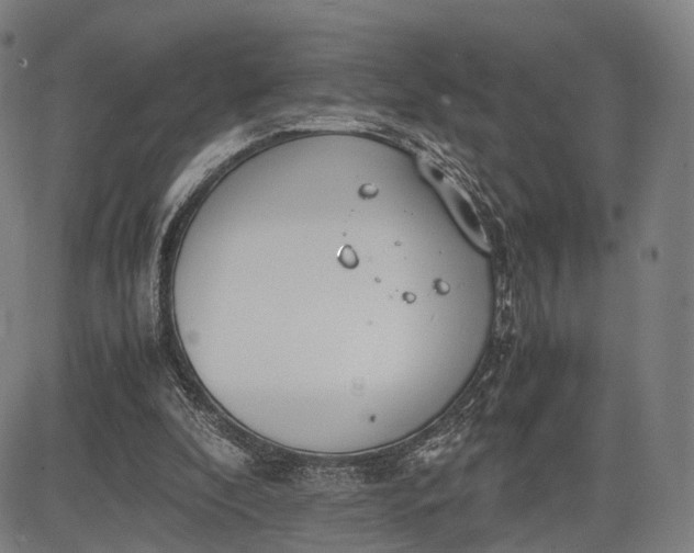 X0000083010296200702161558