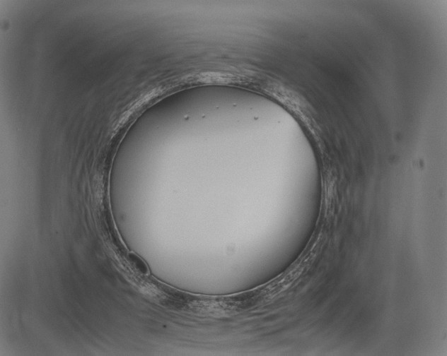 X0000083010297200702161558