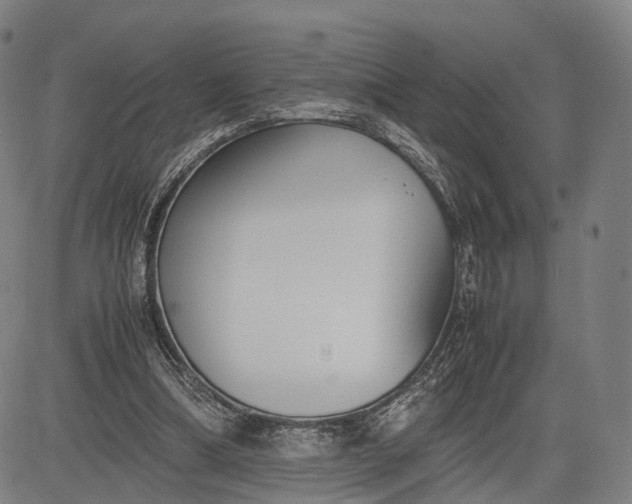 X0000083010298200702161558