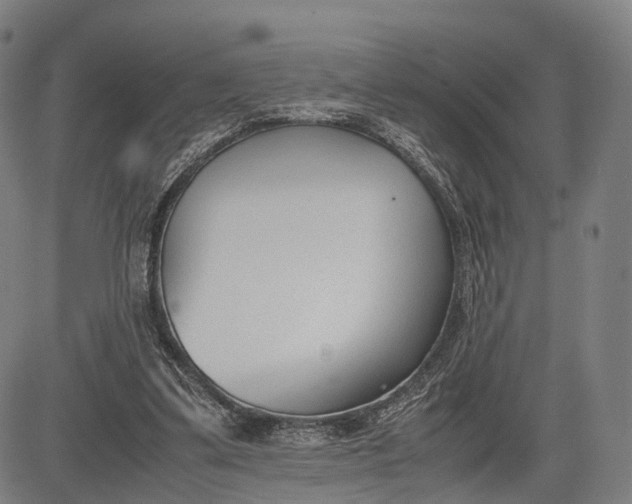 X0000083010299200702161558