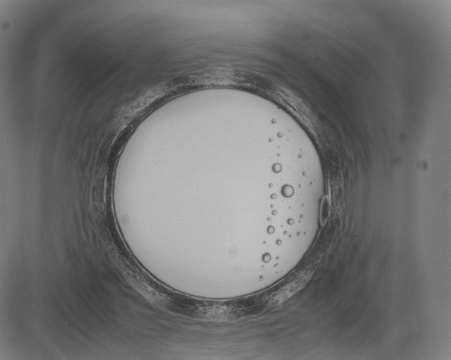 X0000083010301200702161558