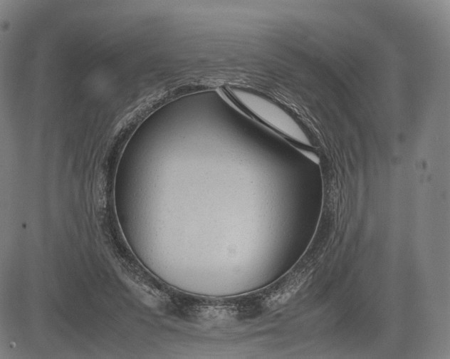 X0000083010303200702161558