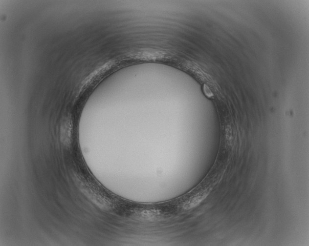 X0000083010304200702161558