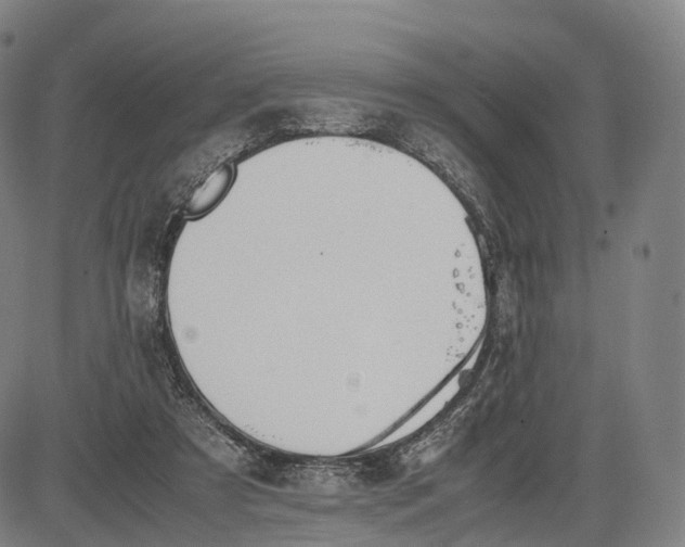 X0000083010305200702161558