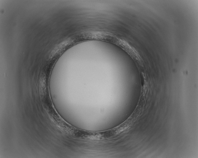 X0000083010306200702161558