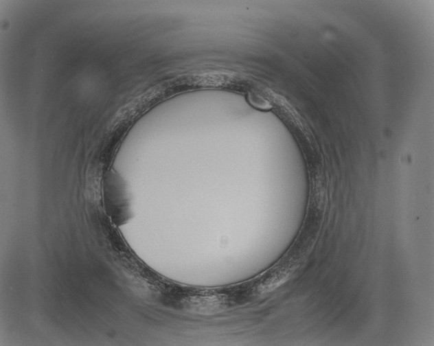 X0000083010307200702161558