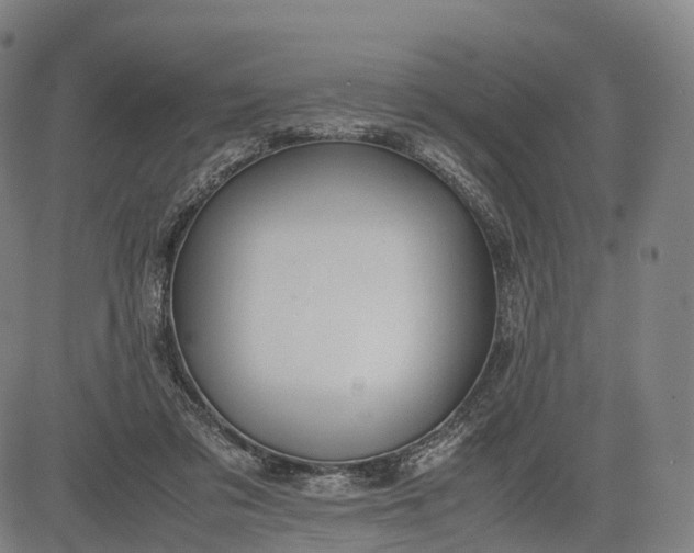 X0000083010309200702161558