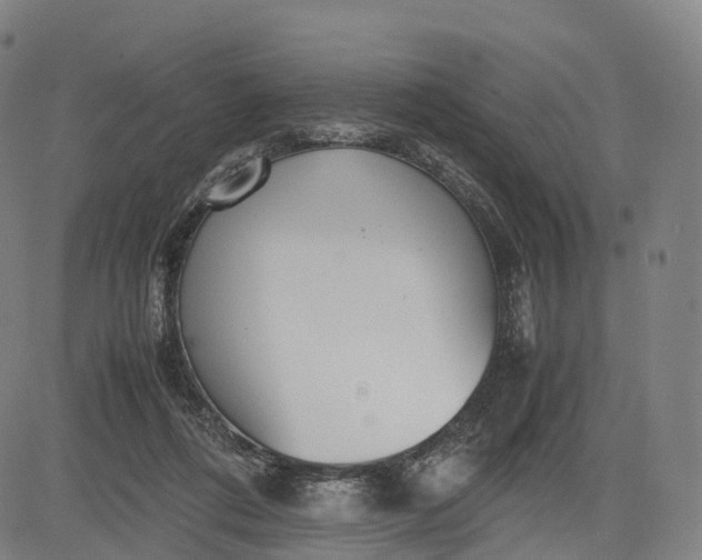 X0000083010312200702161558