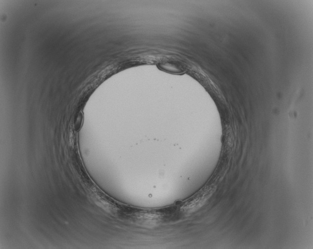 X0000083010313200702161558