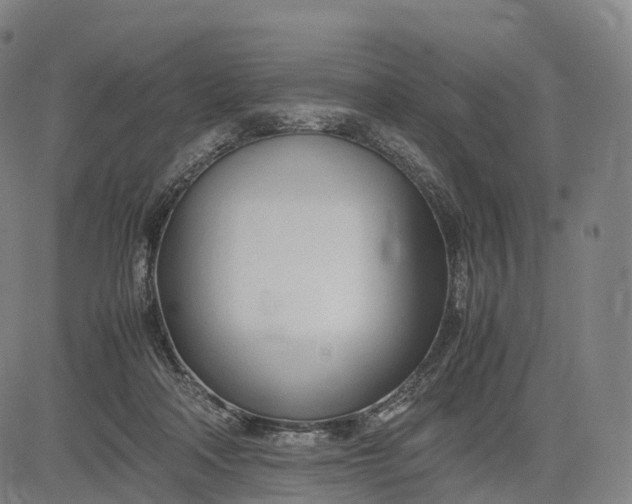 X0000083010314200702161558