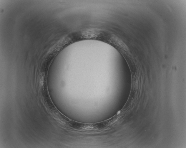 X0000083010315200702161558