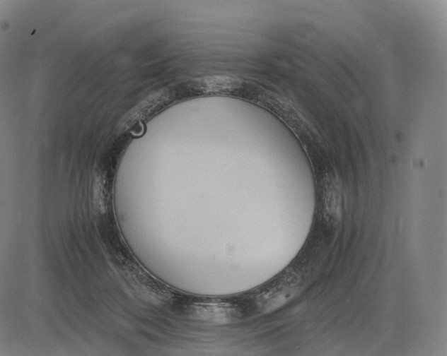 X0000083010316200702161558