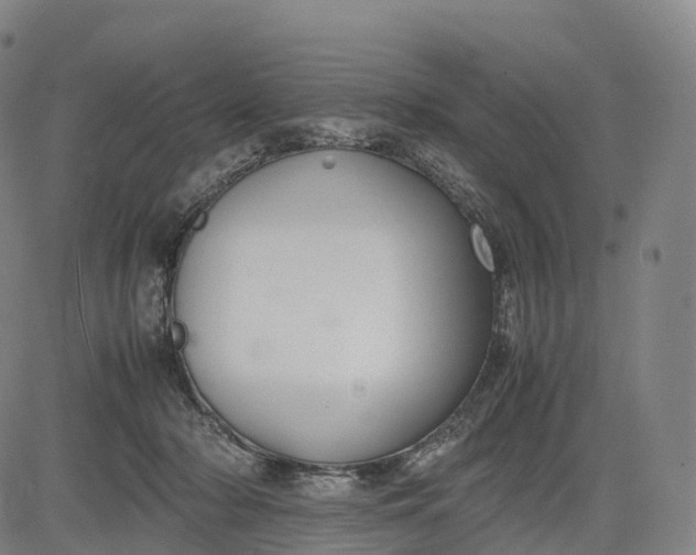 X0000083010318200702161558