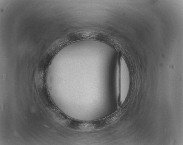 X0000083010319200702161558