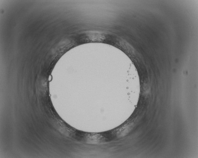 X0000083010321200702161557