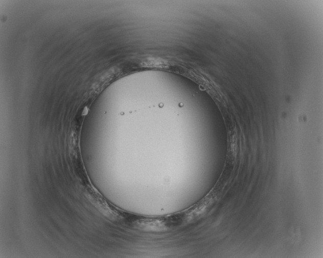 X0000083010322200702161557