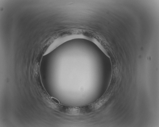 X0000083010325200702161557