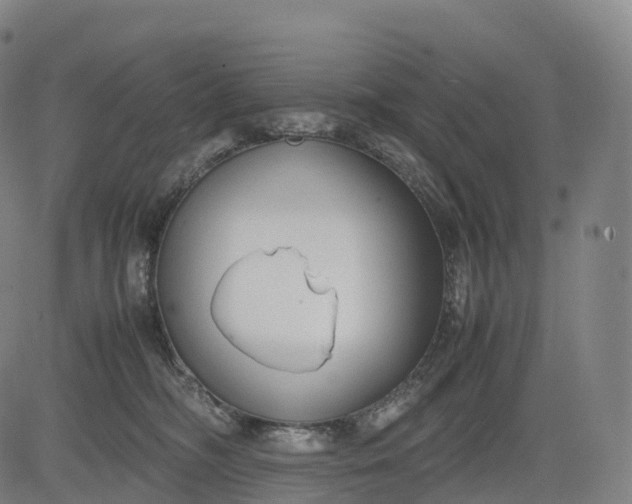 X0000083010326200702161557