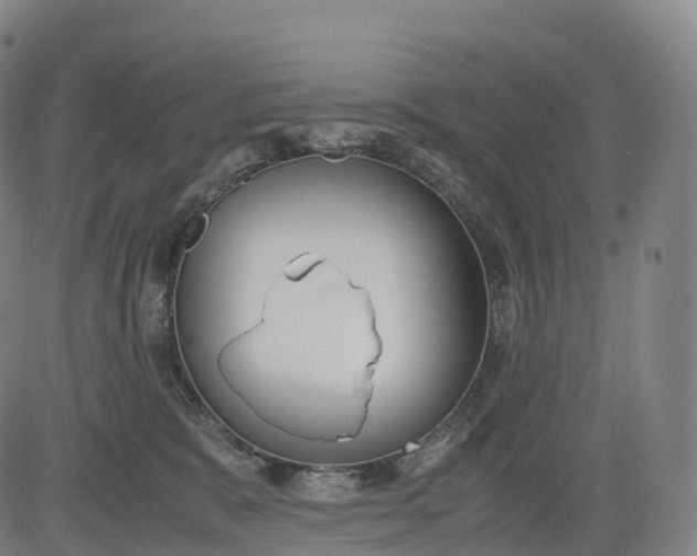 X0000083010327200702161557