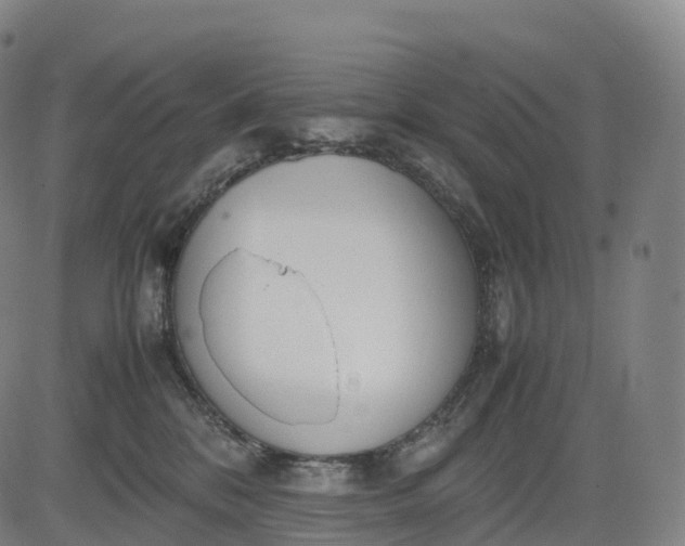 X0000083010328200702161557