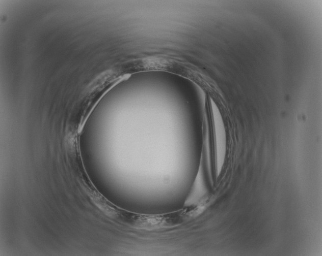 X0000083010329200702161557