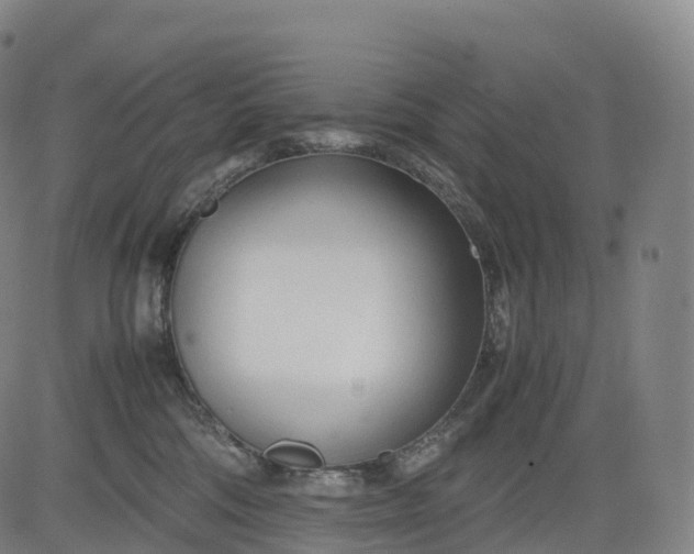 X0000083010330200702161557