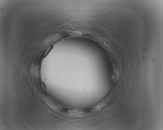 X0000083010331200702161557