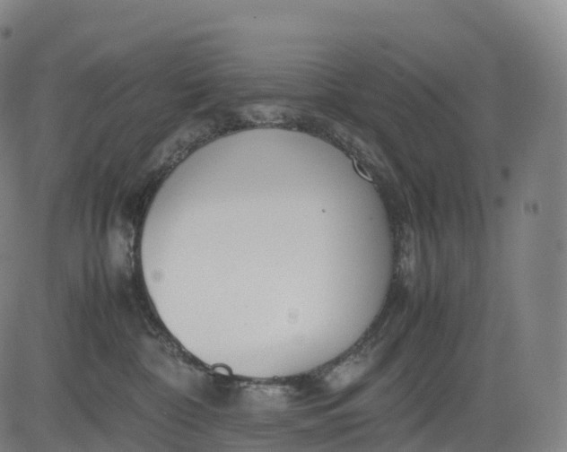 X0000083010332200702161557