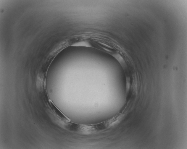 X0000083010333200702161557