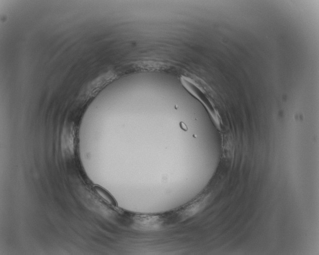 X0000083010334200702161557