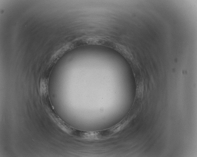 X0000083010335200702161557