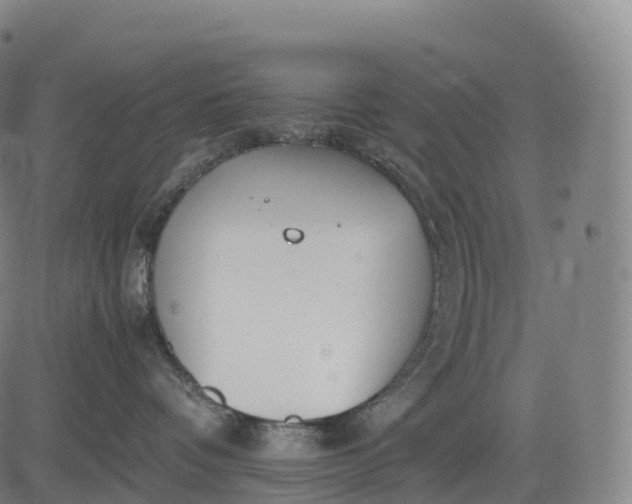 X0000083010336200702161557