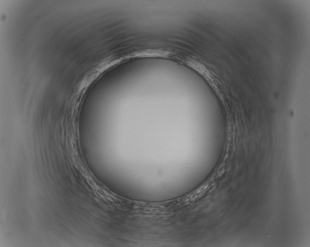 X0000083010337200702161556