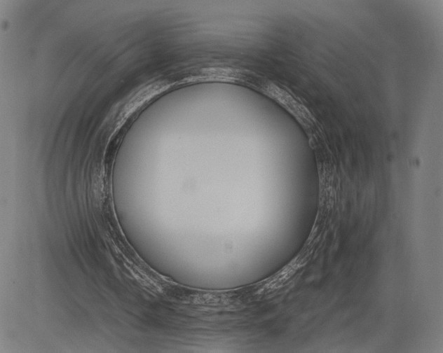 X0000083010338200702161556