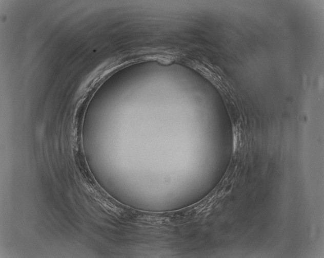 X0000083010339200702161557