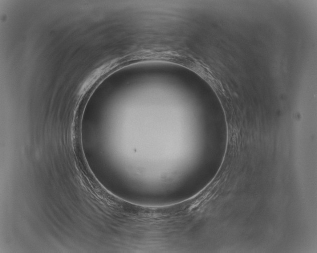 X0000083010340200702161557