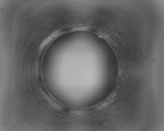 X0000083010341200702161557