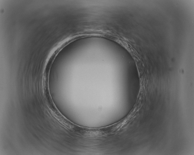 X0000083010342200702161557