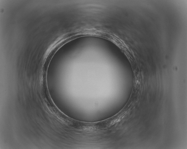 X0000083010344200702161557