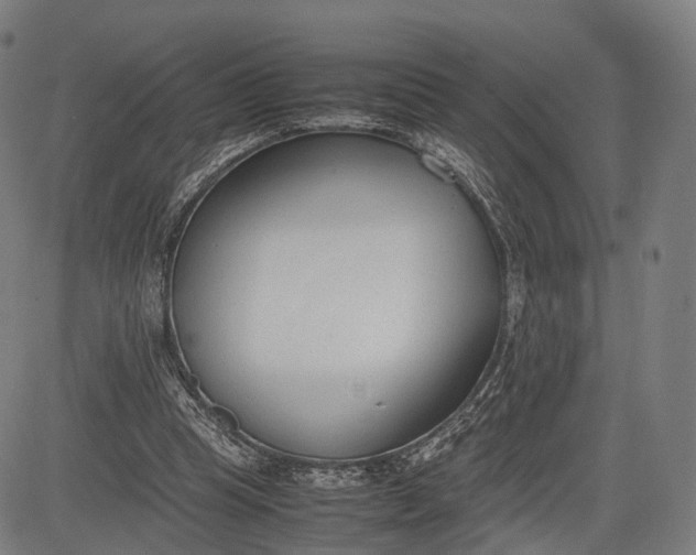 X0000083010345200702161557