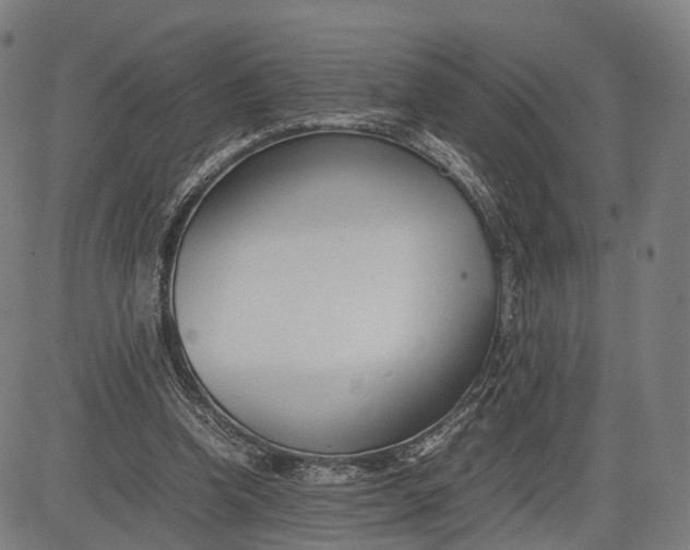 X0000083010346200702161557