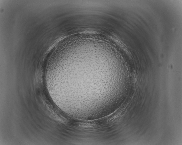 X0000083010347200702161557