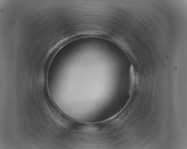 X0000083010348200702161557