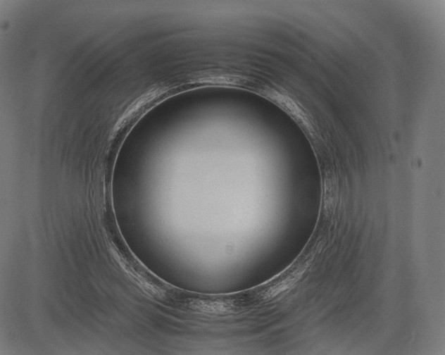 X0000083010349200702161557