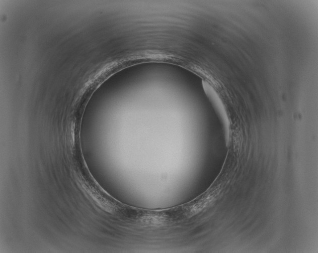 X0000083010350200702161557