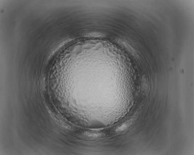 X0000083010351200702161557