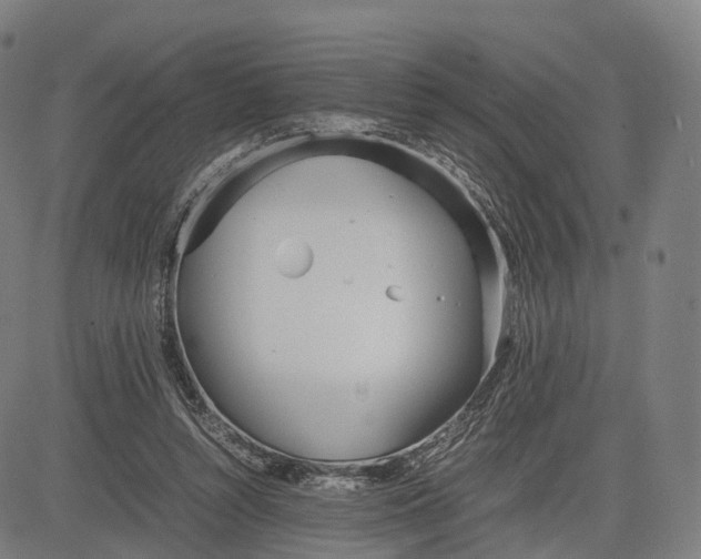 X0000083010352200702161557